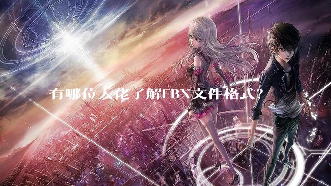 有哪位大佬了解FBX文件格式？