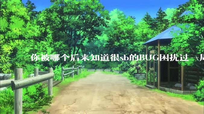 你被哪个后来知道很sb的BUG困扰过一周以上吗？