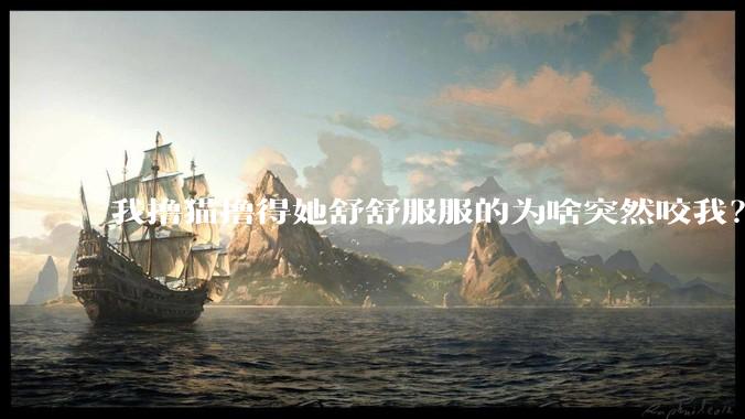 我撸猫撸得她舒舒服服的为啥突然咬我？